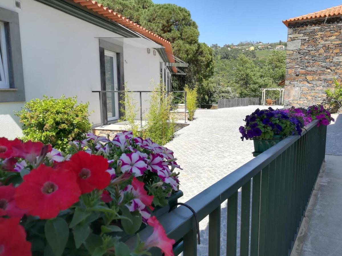 Quinta Da Portelada 比索达雷加 外观 照片