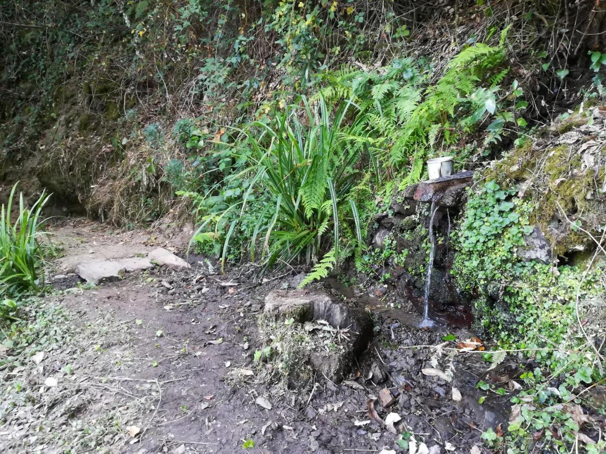 Quinta Da Portelada 比索达雷加 外观 照片
