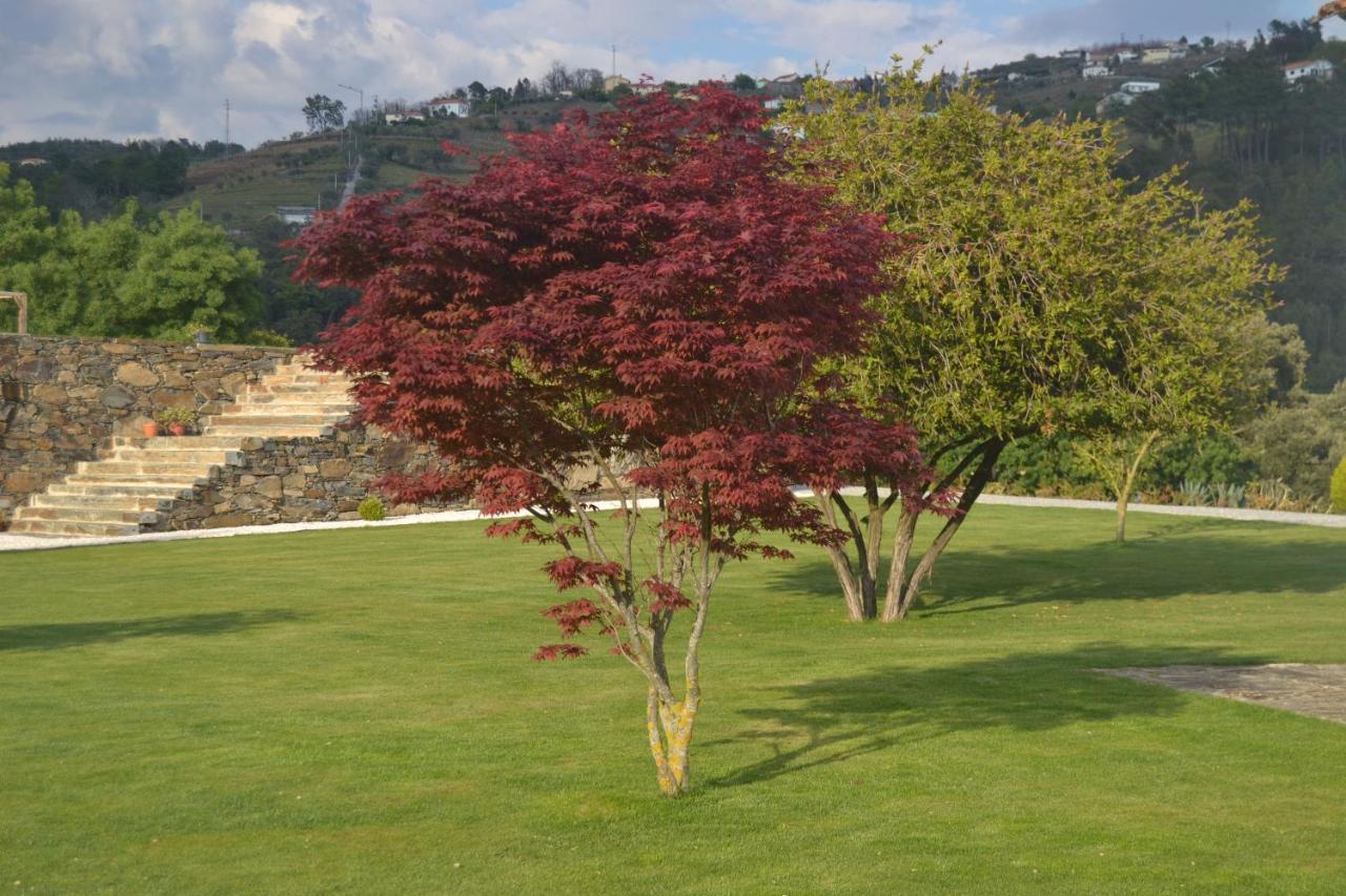 Quinta Da Portelada 比索达雷加 外观 照片