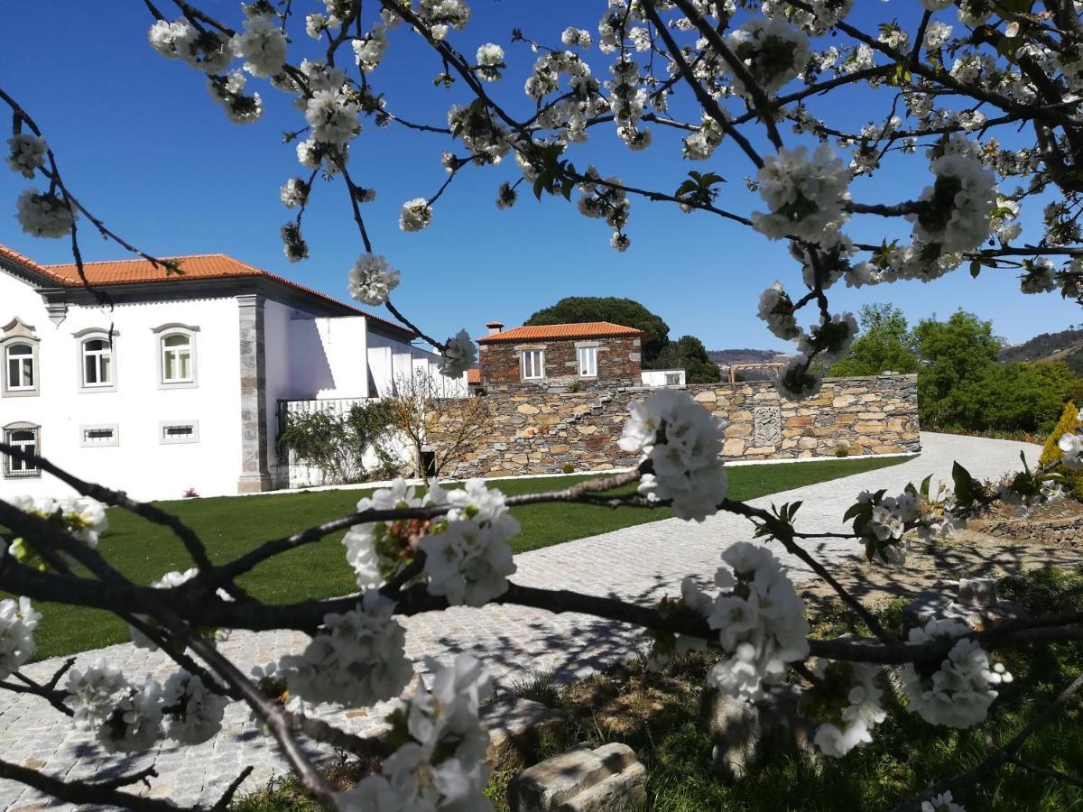 Quinta Da Portelada 比索达雷加 外观 照片