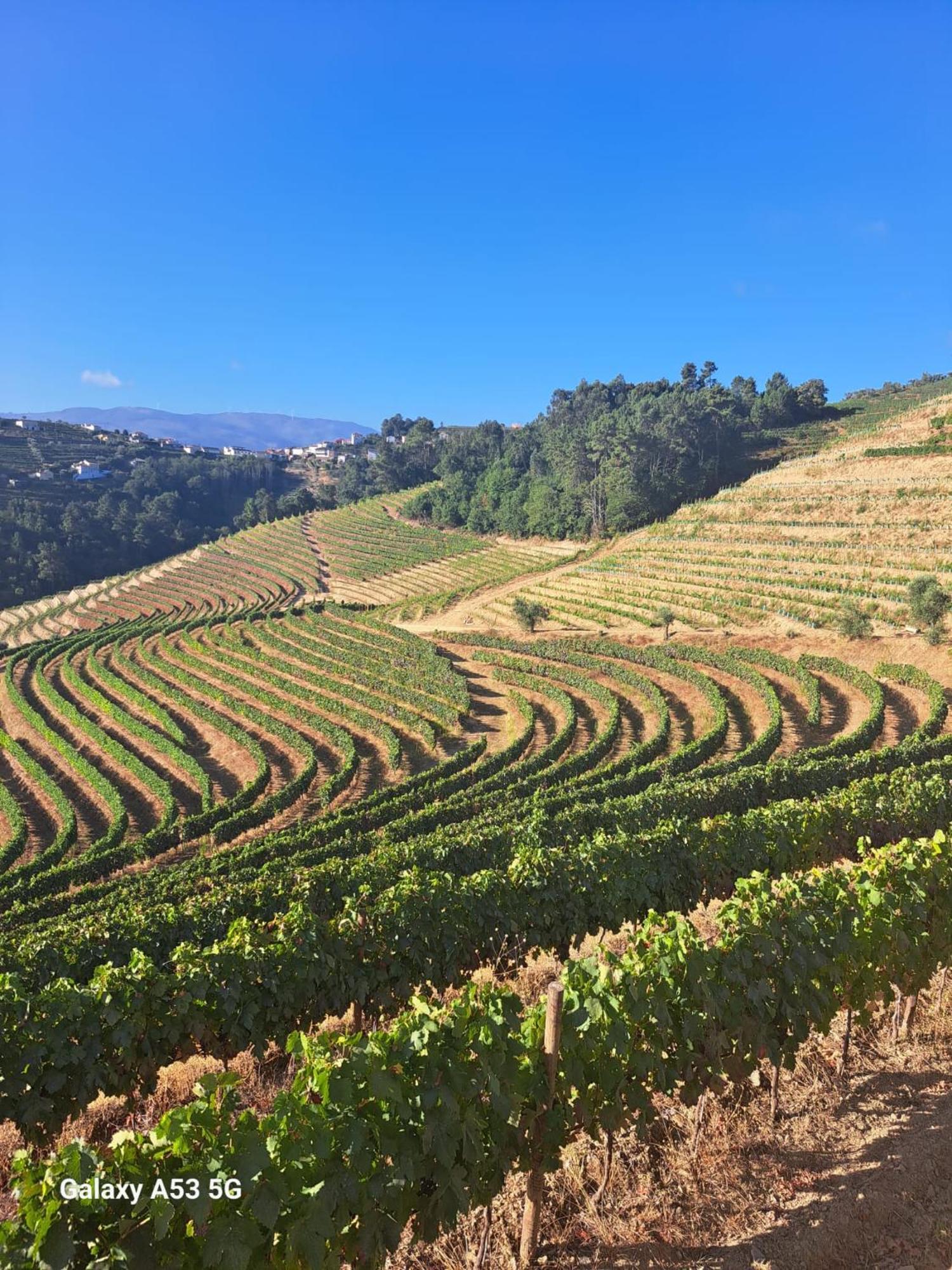 Quinta Da Portelada 比索达雷加 外观 照片