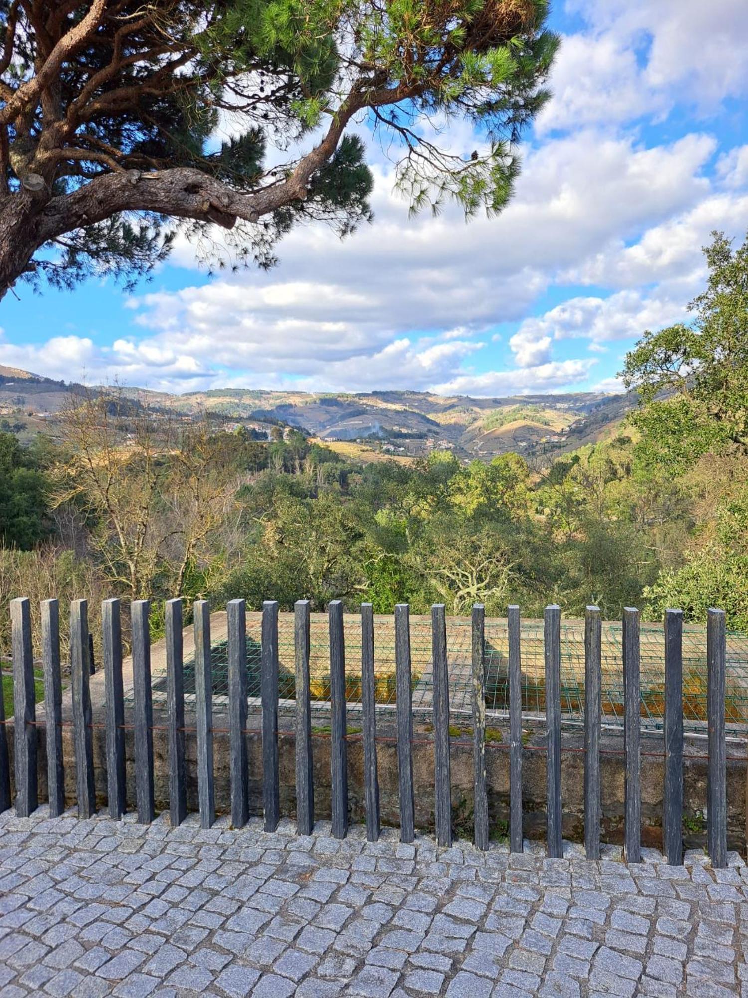 Quinta Da Portelada 比索达雷加 外观 照片