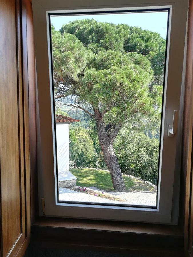 Quinta Da Portelada 比索达雷加 外观 照片